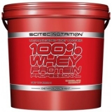100% Whey Protein Professional 5000 g